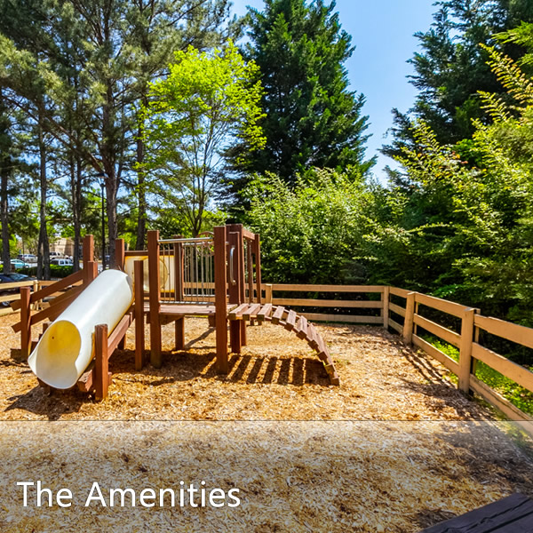 Features & Amenities